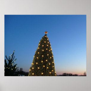 Grote en kleine kerstbomen in vakantie zonsonderga poster