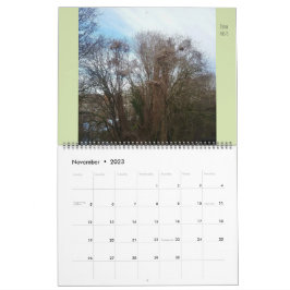 Grote Flora en fauna "Downyland" Kalender