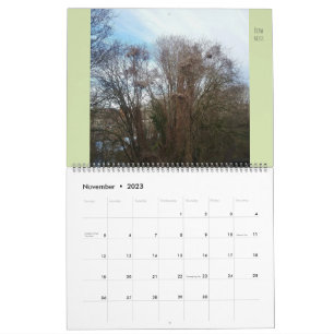 Grote Flora en fauna "Downyland" Kalender