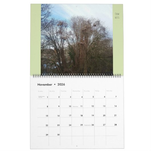 Grote Flora en fauna "Downyland" Kalender (Nov 2026)