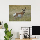 Grote Gaffelbok Ram Poster (Thuiskantoor)