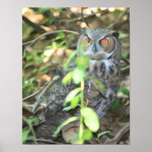 Grote Gehoornde Uil Olie Foto Schilderij Poster