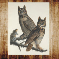 Grote gehoornde uilen Spooky illustratie