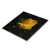 Grote Gele Roze Keramische Tile Tegeltje (Zijkant)