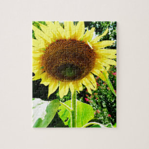 Grote gele zonnebloem legpuzzel