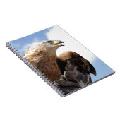 Grote gouden adelaar notitieboek (Rechterzijde)