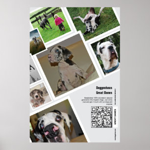 Grote Great Dane-fokkerij promotieposter Poster