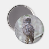 Grote grijze boomkorren magneet (Voorkant / Achterkant)