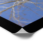 Grote grijze boomkorren poster (Hoek)