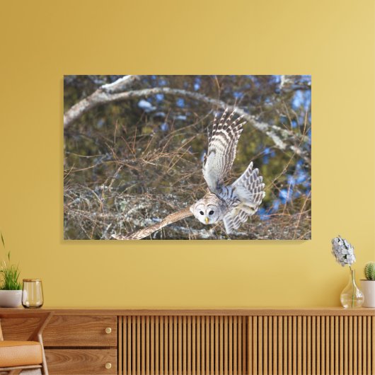 Grote Grijze boomkorvisserij Canvas Afdruk (Insitu (Woonkamer))