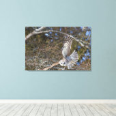 Grote Grijze boomkorvisserij Canvas Afdruk (Insitu (Houten vloer))