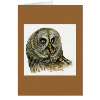 "Grote grijze Owl"