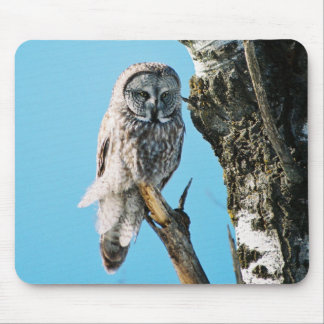 Grote Grijze Owl Mousepad Muismat