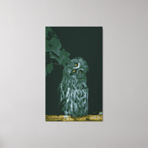 Grote Grijze Uil Canvasprint op Spanning Canvas Afdruk