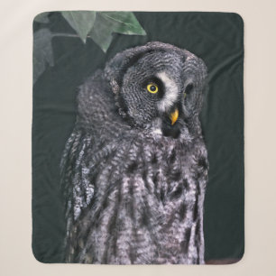 Grote Grijze Uil Halloween Wildlife Kunst Sherpa Deken