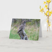 Grote Grijze Uil in het Wilde Kaart (Gele Bloem)