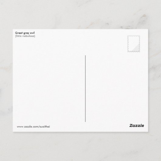Grote grijze uil jagen briefkaart (Achterkant)