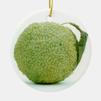 Grote Groene Appelbes Keramisch Ornament