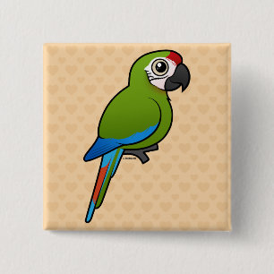 Grote groene Macaw Vierkante Button 5,1 Cm
