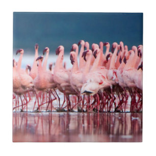 Grote groep kleine flamingo's tegeltje