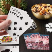 Grote groep van kleine lamingos pokerkaarten (Insitu)