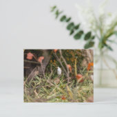 Grote grot briefkaart (Staand voorkant)