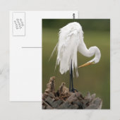 Grote grot briefkaart (Voorkant / Achterkant)