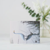 Grote grot briefkaart (Staand voorkant)