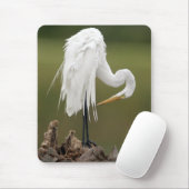 Grote grot muismat (Met muis)