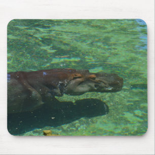 Grote Hippo-zwemmen onder water, Muismat