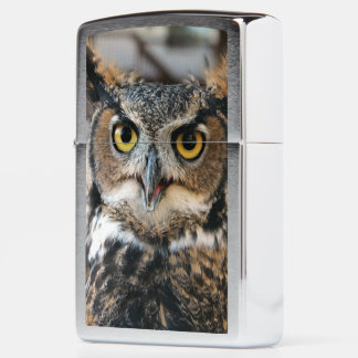Grote hoenders (Bubo virginianus)