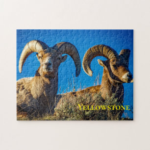 Grote Hoorn Game Puzzel