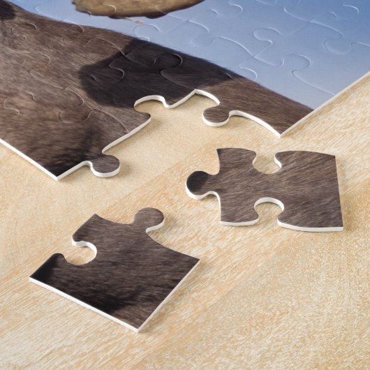 grote hoornschaap, bergschaap, Ovis canadensis, Legpuzzel (Zijkant)