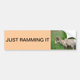 grote hoornschaap bumpersticker
