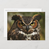 Grote hoornvogel Sluiten Briefkaart (Voorkant / Achterkant)