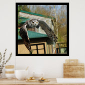 Grote Horn Owl gele ogen Poster (Keuken)