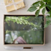 Grote Jack in de aanloopventilator sluit de loskop Tissuepapier (Geschenk)