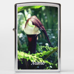 Grote Jack In The Pulpit Bloem Persoonlijk