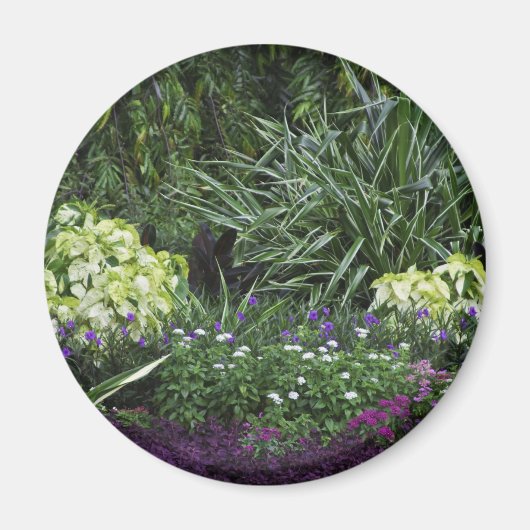 Grote Kaaimaneilanden Magneet (Voorkant)