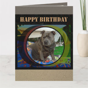 Grote Kaart   Staffordshire Bull Terrier Verjaarda