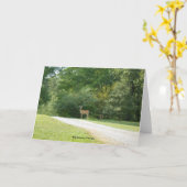 Grote Kano, de Kaart van de Nota van Georgië (Gele Bloem)