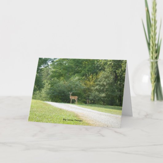 Grote Kano, de Kaart van de Nota van Georgië (Voorkant)