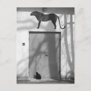 Grote kat, kleine kat briefkaart