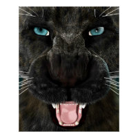 Grote Katachtige Zwarte Panter