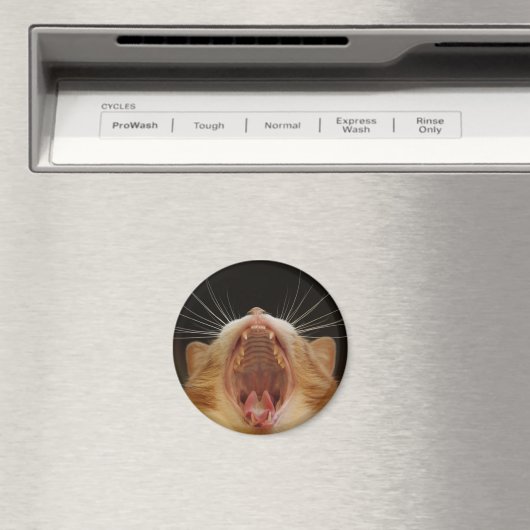 Grote katten gaap, slaperige kat magneet (Insitu (Vaatwasser))