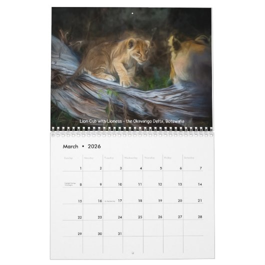 Grote katten in Afrika: Leeuwen, luipaarden 2020 Kalender (Mar 2026)