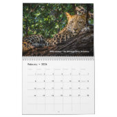 Grote katten in Afrika: Leeuwen, luipaarden 2020 Kalender (Feb 2026)