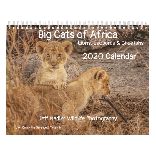 Grote katten in Afrika: Leeuwen, luipaarden 2020 Kalender (Hoes)