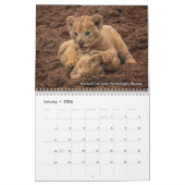 Grote katten in Afrika: Leeuwen, luipaarden 2020 Kalender (Jan 2026)