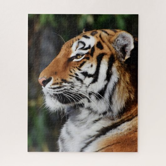 Grote katten. legpuzzel (Verticaal)